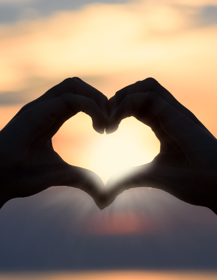 Two Hands Making Heart Shape
